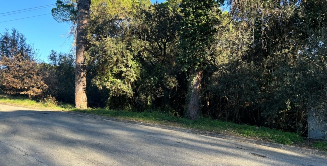EXCEPCIONAL PARCEL·LA A PALAU, GIRONA. 